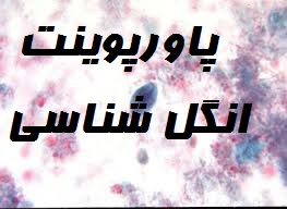 پاورپوینت انگل شناسی-366 اسلاید