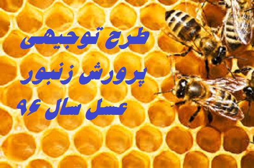 نمونه طرح توجیهی پرورش زنبور عسل سال ۹۶