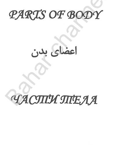 اعضای بدن.pdf