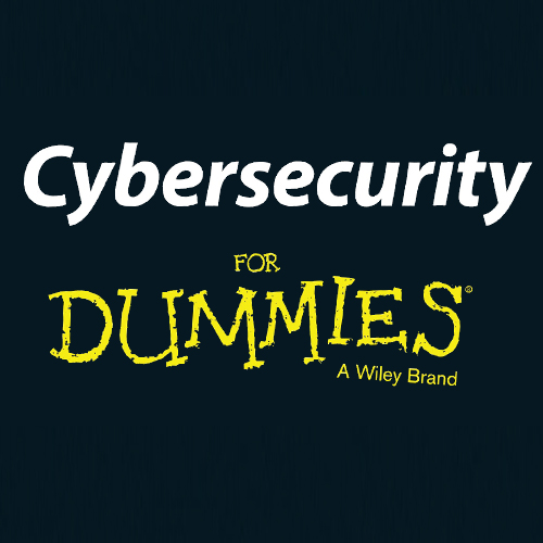CyberSecurity 4 Dummies