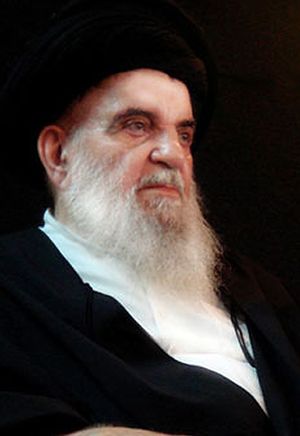سید محمد عزالدین حسینی زنجانی
