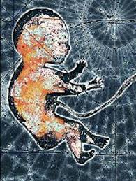 شناسايي جنسيت جنين انسان از طريق پلاسمای مادر باردار