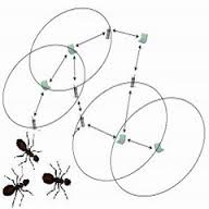 Ant Colony ها، Ant System ها و کاربرد آنها در حل مسايل