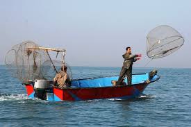 نقش مدیریت ماهیگیری در توسعه صید و صیادی