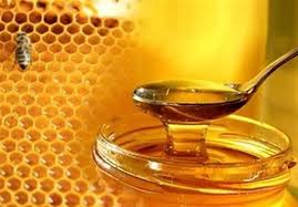 دانلود پاورپوینت  صنایع غذایی –تغذیه - عسل  در 23 اسلاید کاربردی و کاملا قابل ویرایش