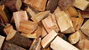 دانلود  پاورپوینت مواد و مصالح ساختمانی - چوب ( تنها مصالح تجدیدپذیر )