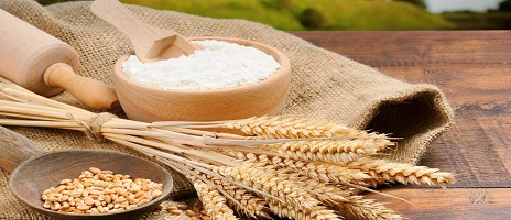 کارآفرینی واحد توليدي آرد ستاره