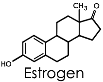 استروژن