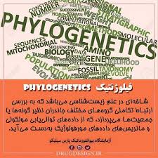 فیلوژنی جدید حیوانات