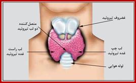 اختلالات  هورمون های تيروئيدی