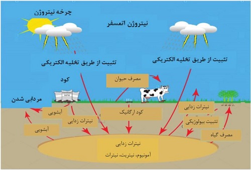 دانلود مقاله مدیریت نیتروژن تحت سیستم بی خاکورزی  به صورت word قابل ویرایش