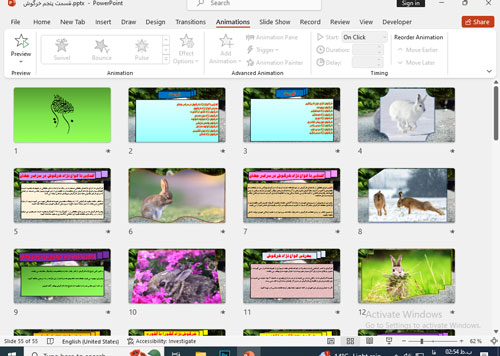 پاورپوینت قسمت پنجم خرگوش