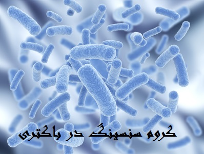 دانلود مقاله کروم سنسینگ در باکتری ها بصورت پاورپوینت