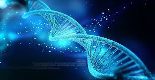 دانلود فایل آشنایی با مهارت های پایه ی ژنتیک مولکولی