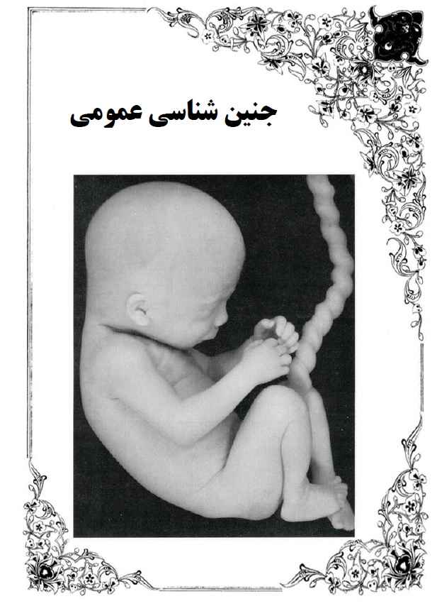 دانلود جزوه جنین شناسی عمومی دانشکاه آزاد یزد
