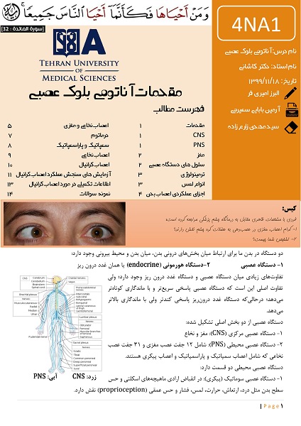 دانلود جزوه کامل آناتومی بلوک عصبی دانشگاه تهران