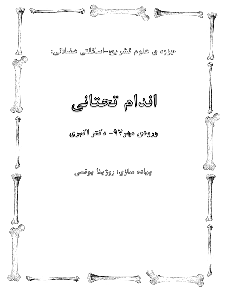 دانلود جزوه آناتومی اندام تحتانی دکتر اکبری