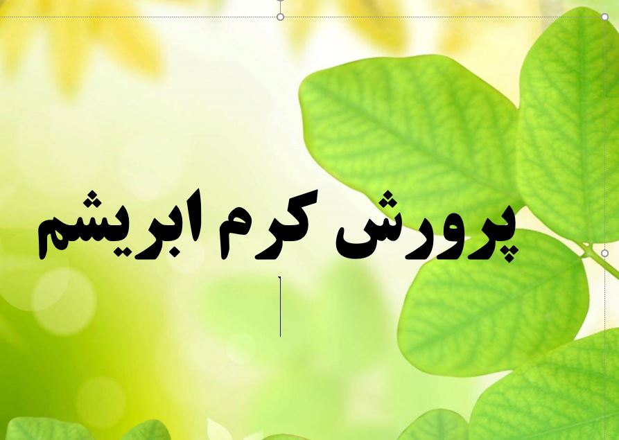 پاورپوینت با موضوع پرورش کرم ابریشم