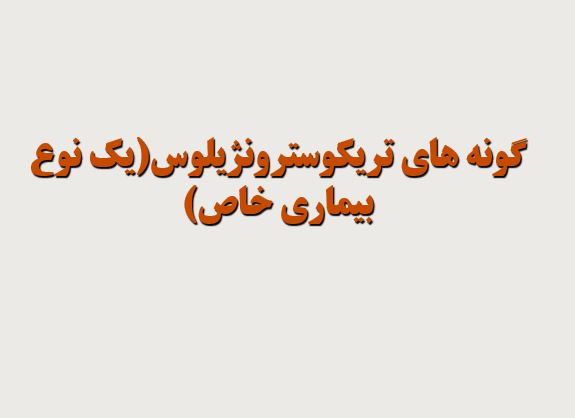 پاورپوینت گونه های ریکوسترونژیلوس(یک نوع بیماری خاص)