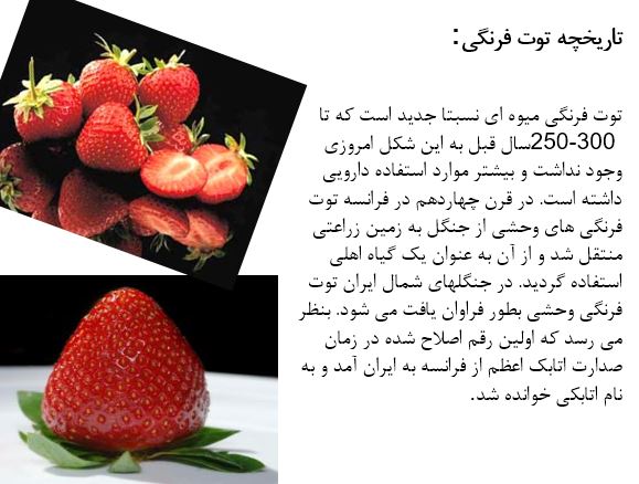 دانلود پاورپوینت در مورد توت فرنگی