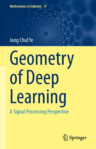 دانلود کتاب Geometry of Deep Learning: A Signal Processing Perspective
