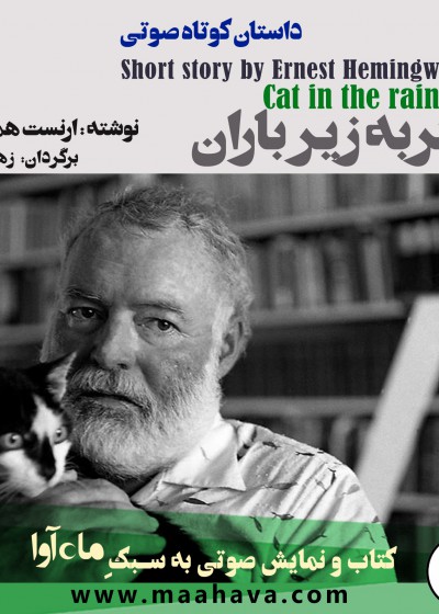 کتاب صوتی گربه زیر باران