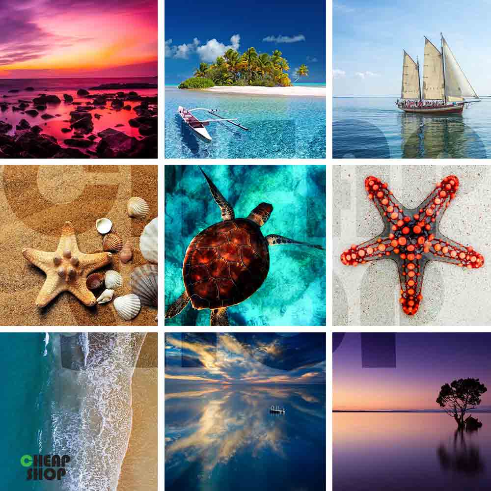 مجموعه  ی جدید، فوق العاده متنوع و جذاب تصاویر دریا و طبیعت