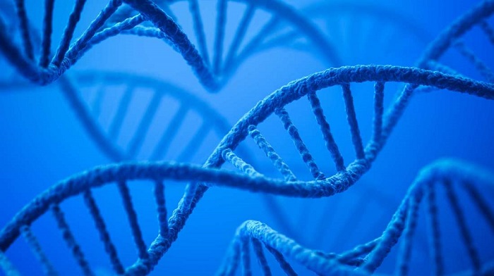ساخت حافطه با استفاده از DNA