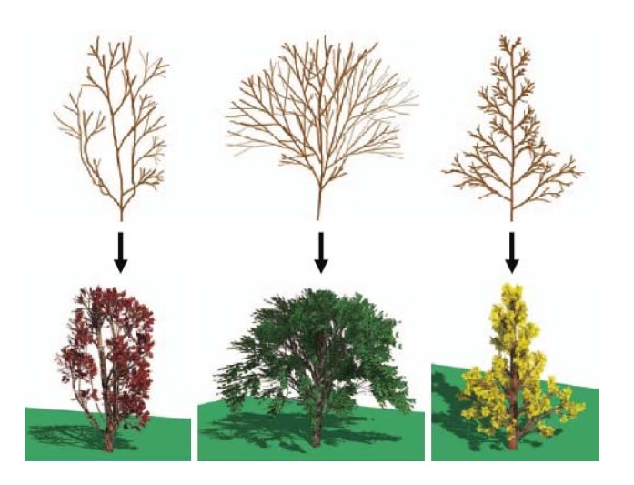 مدل سازی کامپیوتری گیاهان و درختان