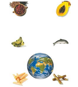 دانلود راهنمای آشپزی غذاهای تمام کشورهای دنیا