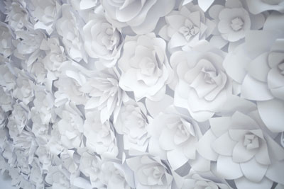 عکس گلهای سفید کاغذی