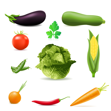 لایه باز وکتور سبزیجات مختلف
