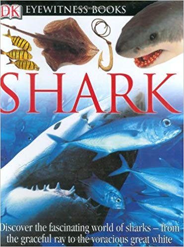 خرید کتاب Shark DK Eyewitness Books