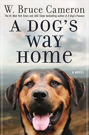 خرید کتاب A Dogs Way Home