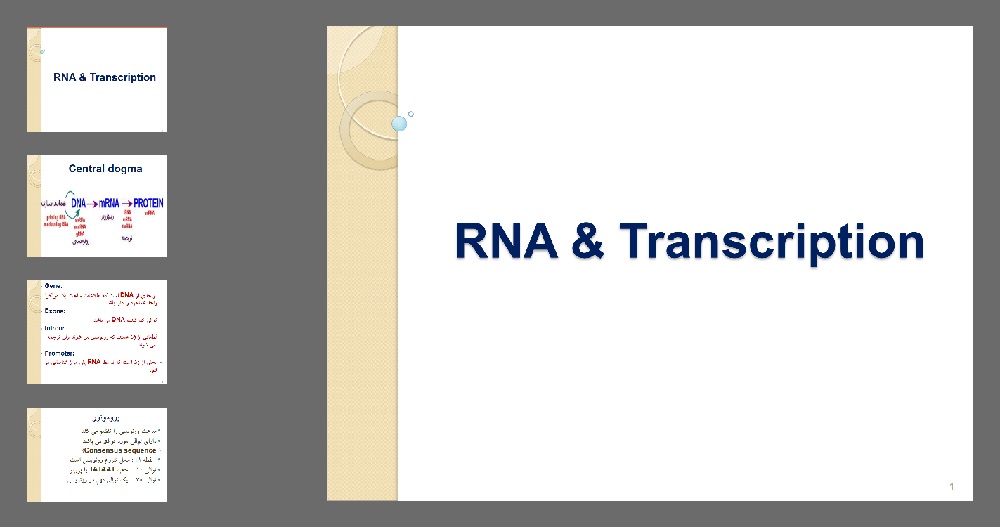 دانلود پاورپوینت Transcription & RNA (رونویسی)