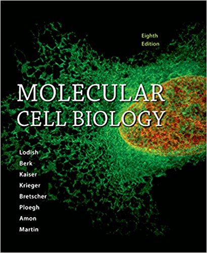 Molecular Cell Biology Eighth Edition