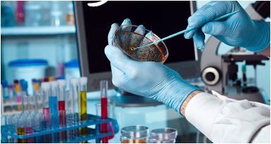 گزارش کاراموزی آزمایشگاه تشخیص طبی ژنتیک و میکروبیولوژی
