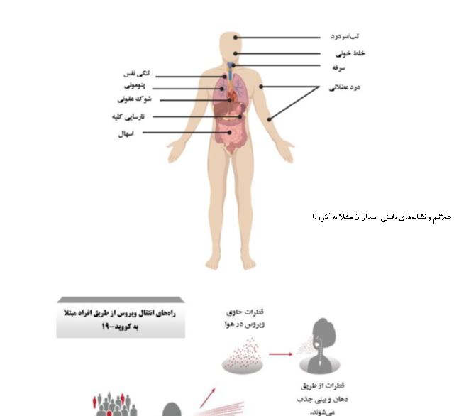 تحقیق و پژوهش درباره بیماری کرونا  COVID-19