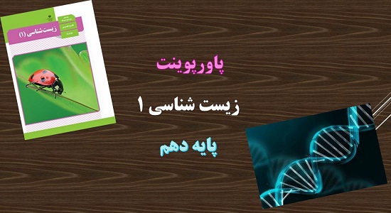 پاورپوینت تنوع گردش مواد در جانداران زیست شناسی دهم