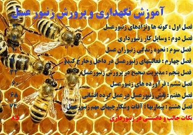 تحقیق آماده در مورد پرورش زنبور عسل