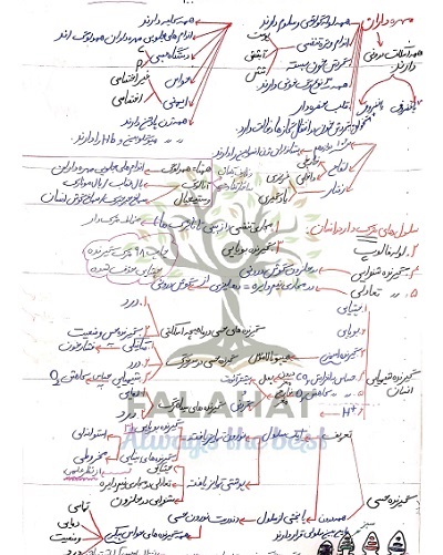 دانلود جزوه دست نویس زیست یازدهم حواس جانوری
