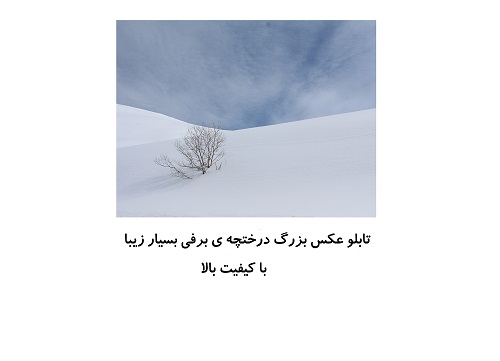 تابلو عکس تکی بزرگ زیبا ، درختچه ی برفی