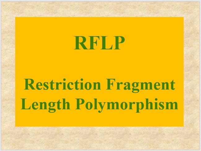 RFLP restriction fragment length polymorphism