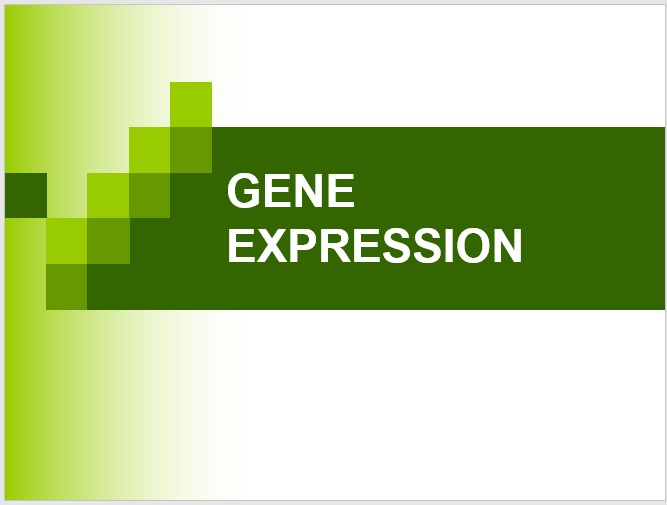 GENE EXPRESSION