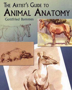 کتاب آموزش نقاشی آناتومی حیوانات The Artist’s Guide to Animal Anatomy