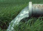 19-بازیافت فاضلاب خاكستری و بررسی كیفیت پساب تصفیه شده جهت استفاده مجدد در سطح خانگی در راستای توسعه پایدار منابع آب كشور