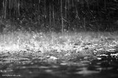 تعیین مدل ریاضی برآورد ذخیره آب در خاك و دبی خروجی در اثر بارش باران با استفاده از روش توده سازی