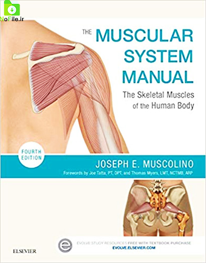 دانلود کتاب راهنمای سیستم عضلانی: عضلات اسکلتی بدن انسان- The Muscular System Manual: The Skeletal Muscles of the Human Body