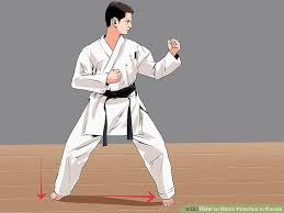مقاله ی کامل کاراته(شامل 3مقاله ی کامل)