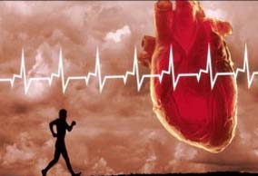 مقاله ی ورزش و قلب و تأثیر آن بر دستگاه گردش خون